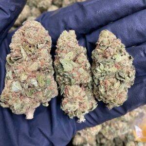 buy weed online hamburg